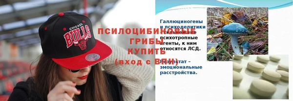 СК Вяземский