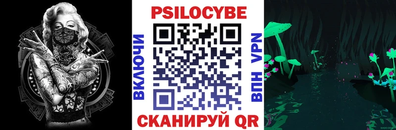 блэк спрут вход Полевской Галлюциногенные грибы прущие грибы
